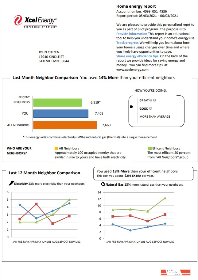 USA Minnesota Xcel Energy utility bill template in Word and PDF format (.doc and .pdf)